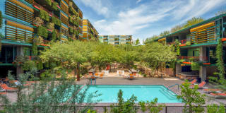 Optima Sonoran Village Gallery 1