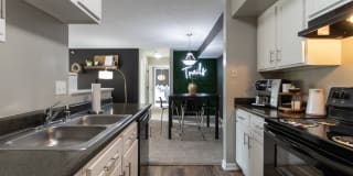 The Trails of Saddlebrook Gallery 3