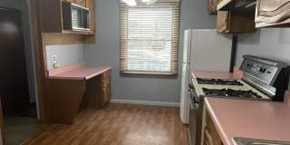 16173 Forest Gallery 3