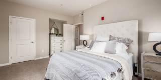 Brook Lane Gallery 11