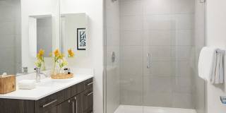 Sentral Michigan Avenue Gallery 7