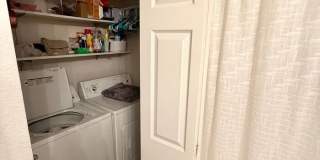 5225 White Willow Drive Gallery 12