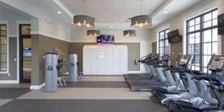 Shalimar at Davie Gallery 13