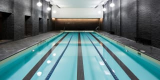 The Ashley Gallery 23