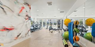 Acero Ridgefield Gallery 24