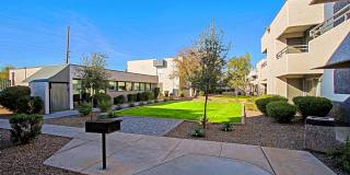 Paloma Village Gallery 17