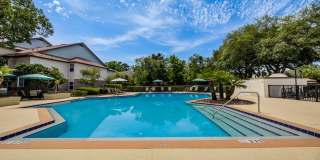 Paradise Island Gallery 48
