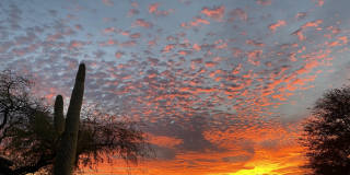 16715 N 108TH Way Gallery 12