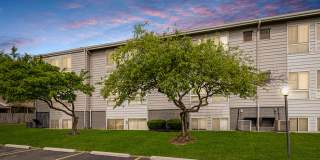 Rosehill Plaza Gallery 13