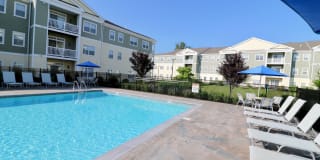 Broadleaf Boulevard Gallery 1