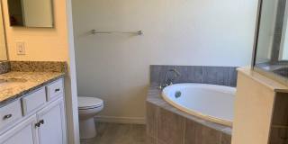 12259 AMICA LOOP Gallery 12
