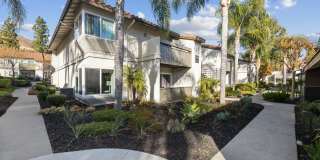 Sofi at Wood Ranch Gallery 30