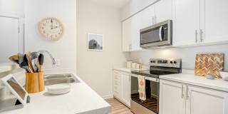 Park on 20th Apartments Gallery 3