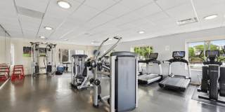 Parkmerced Gallery 24