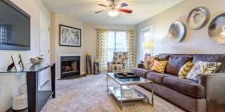 Canter Chase Gallery 26