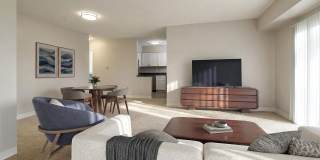 Lindenbrooke Gallery 3