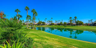 54492 Shoal Creek Gallery 38