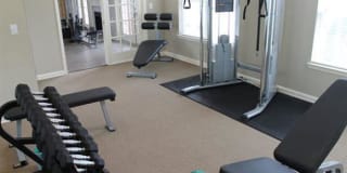 The Legends Gallery 16