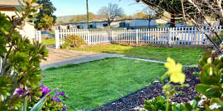 2365 Fallingtree Drive Gallery 1