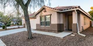 5028 STUMBLING COLT Court Gallery 1