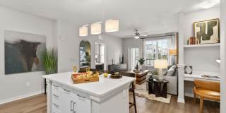 Integra Towers at Lake Nona South Gallery 44