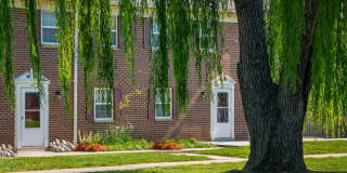 Deertree Gallery 10