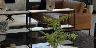 Arium Meadows Gallery 3