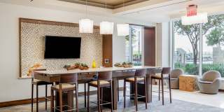 Northshore Gallery 21