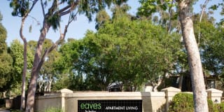 eaves South Coast Gallery 33