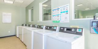 Tiffany II Gallery 16