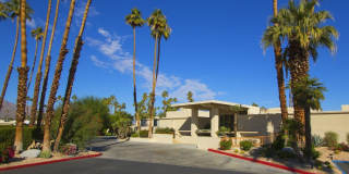 501 Desert Lakes Cir Gallery 8