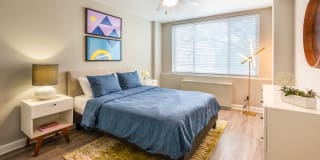 Dominion Plaza Gallery 3