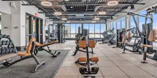 Royal Blue Gallery 6