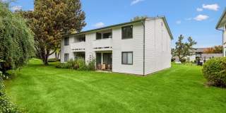 Shannon South Gallery 30