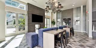 Vive Luxe Gallery 26