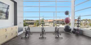 Avalon Lowry Gallery 43