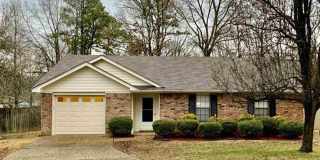 Maumelle Home Gallery 1