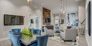 Springs at Orchard Road Gallery 22