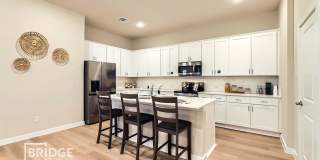 CORTLAND PLAN Gallery 1