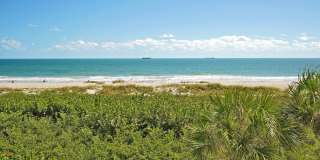 425 Buchanan Avenue unit: 302 Gallery 1