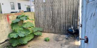 338 Snyder Gallery 2