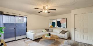 Rise Skyview Gallery 58