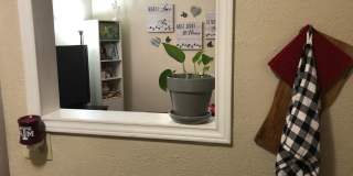 College Station - 1 bedroom /1 bath condo in Northgate area!! - Walking or biking distance to TEXAS A&M Gallery 12