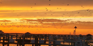 207 Bay Boulevard Gallery 4