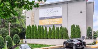 The Oliver in Alexandria Gallery 4