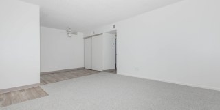 Capistrano Gallery 5