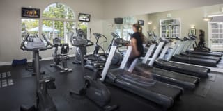 Parc Chateaux Gallery 27