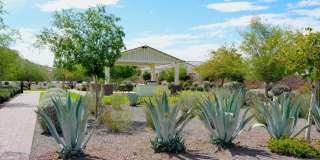 27711 N 38TH Drive Gallery 34