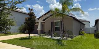 14906 Imperial Purple Lane Gallery 3