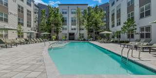 Cortland Belmar Gallery 41